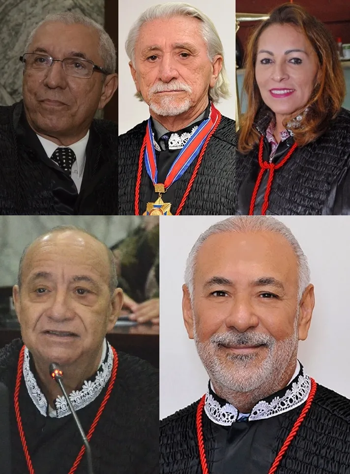 Luiz Gonzaga Almeida Filho, Luiz de França Belchior Silva, Nelma Celeste Sousa Silva Sarney Costa, Antonio Pacheco Guerreiro Júnior e José Eulálio Figueiredo de Almeida.