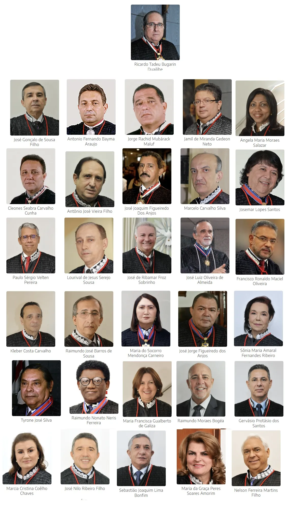 Os 31 Desembargadores que votam na eleição para escolha de um nome para formação da lista tríplice do Quinto Constitucional.