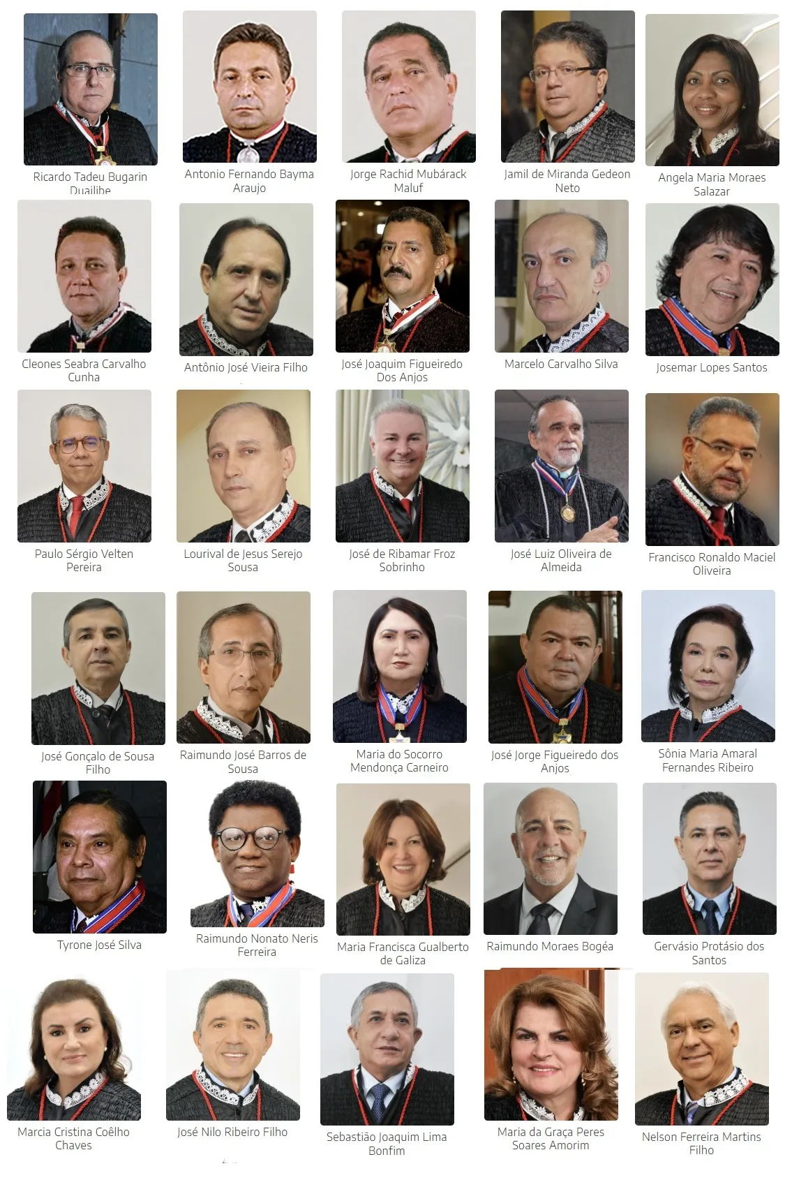 Os 31 Desembargadores que votam na eleição para escolha de um nome para formação da lista tríplice do Quinto Constitucional.
