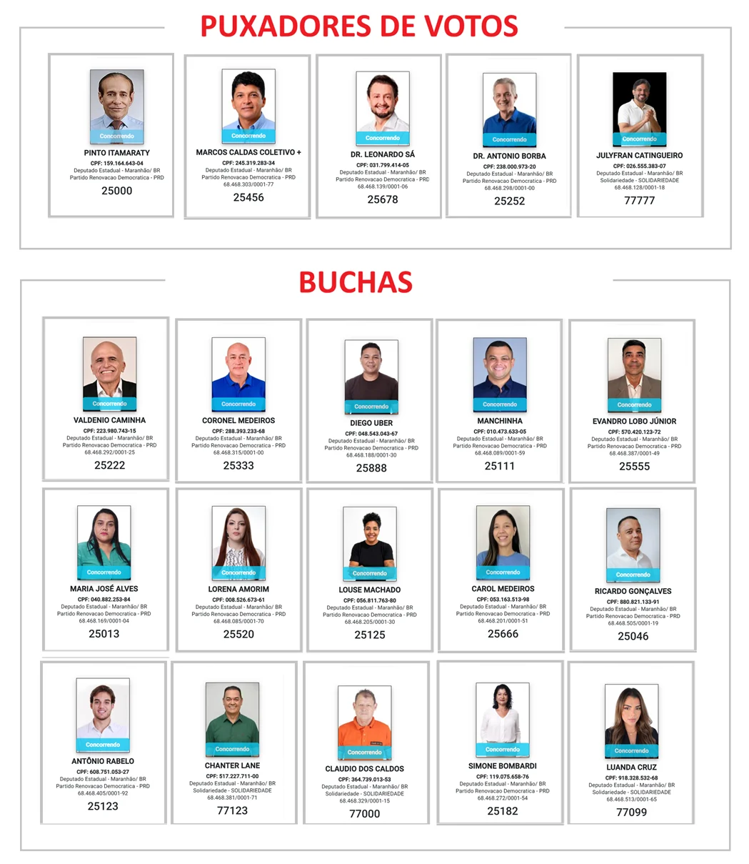 Relação dos candidatos a deputados estaduais do PSD nestas eleições.