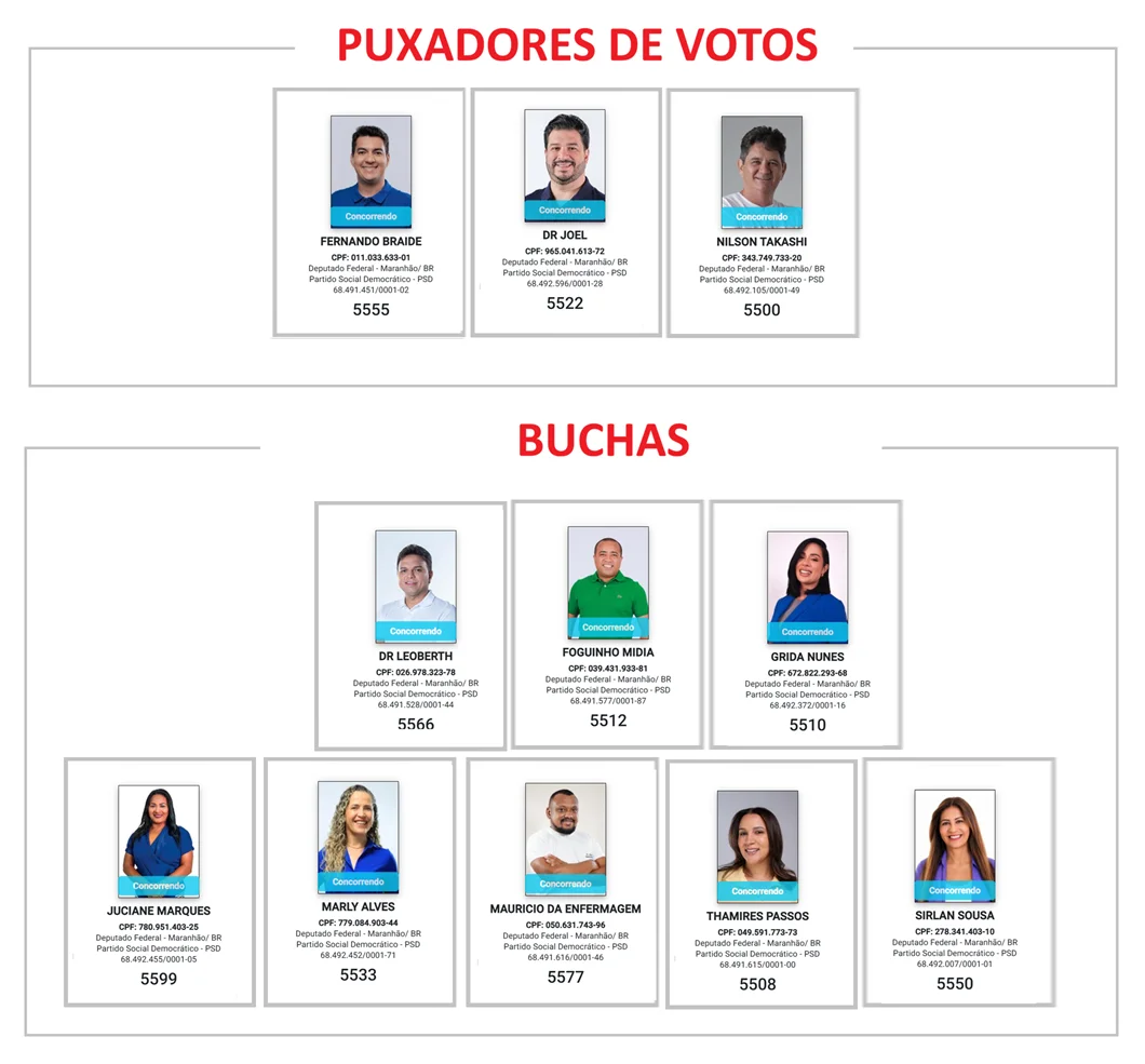 Candidatos a deputados federais da Federação do PSD.