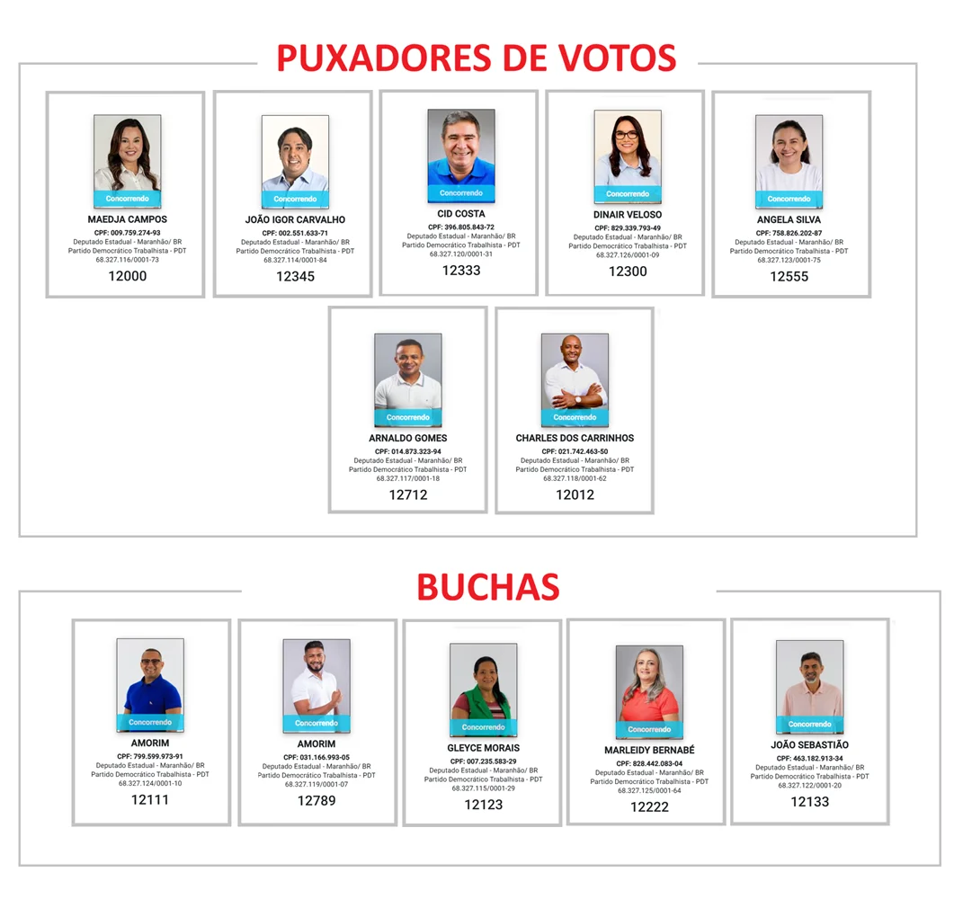 Relação dos candidatos a deputados estaduais do PDT nestas eleições.